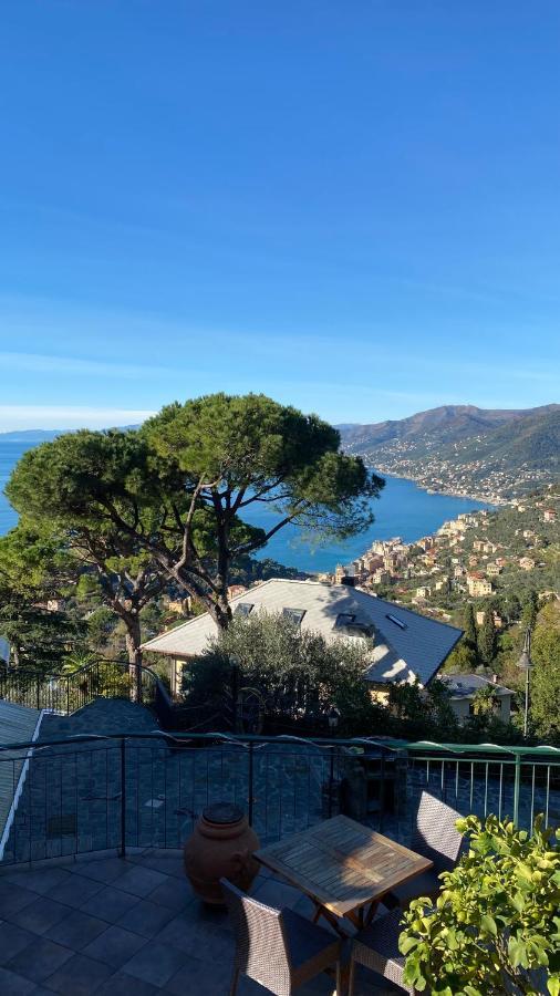 شقة Casa Portofino كامولّي المظهر الخارجي الصورة